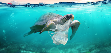 How can there be life below water, without water in the river?